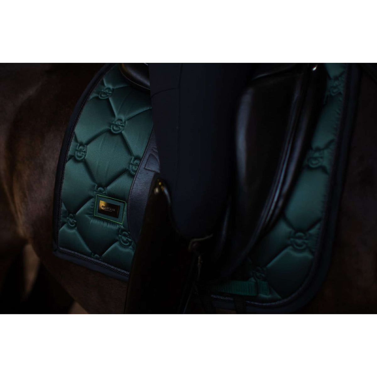 Equestrian Stockholm Sottosella Dressage Sycamore Green