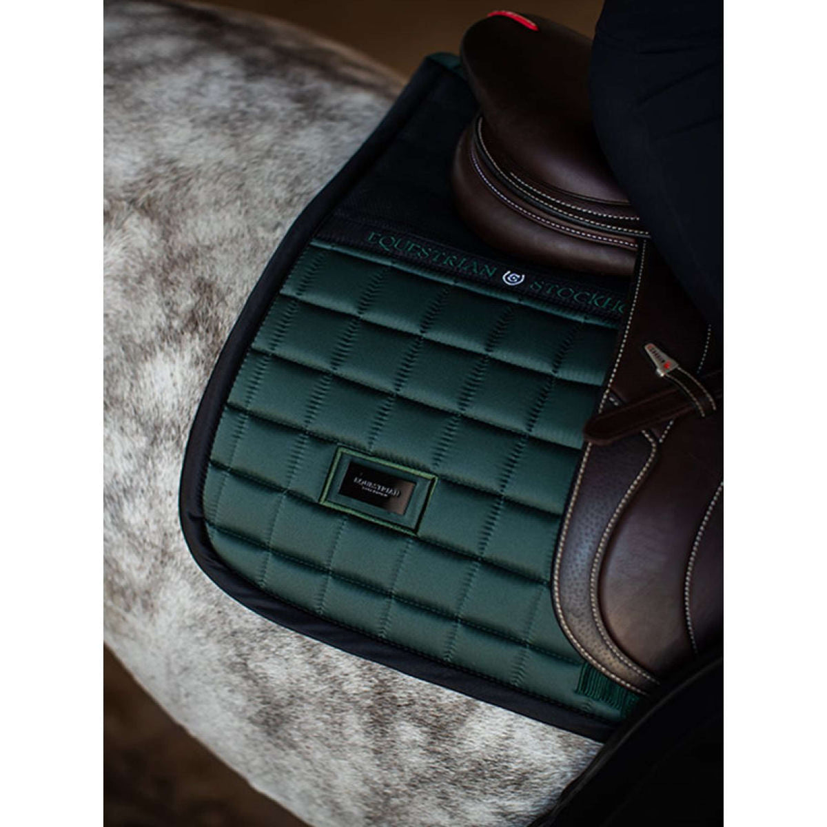Equestrian Stockholm Sottosella Sportive saltando Sycamore Green