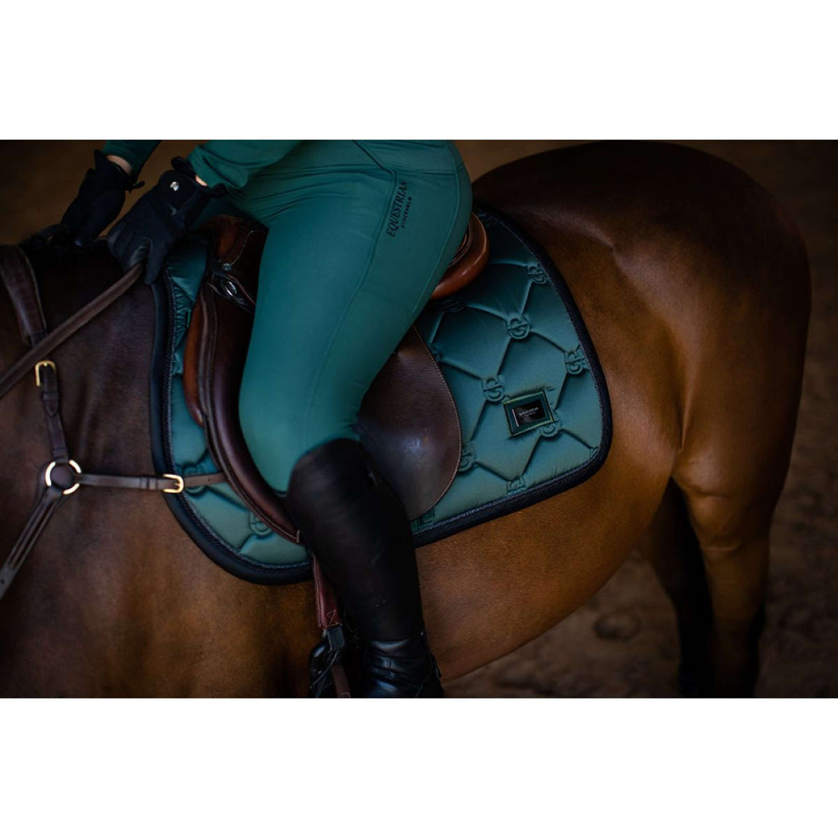 Equestrian Stockholm Sottosella saltando Sycamore Green