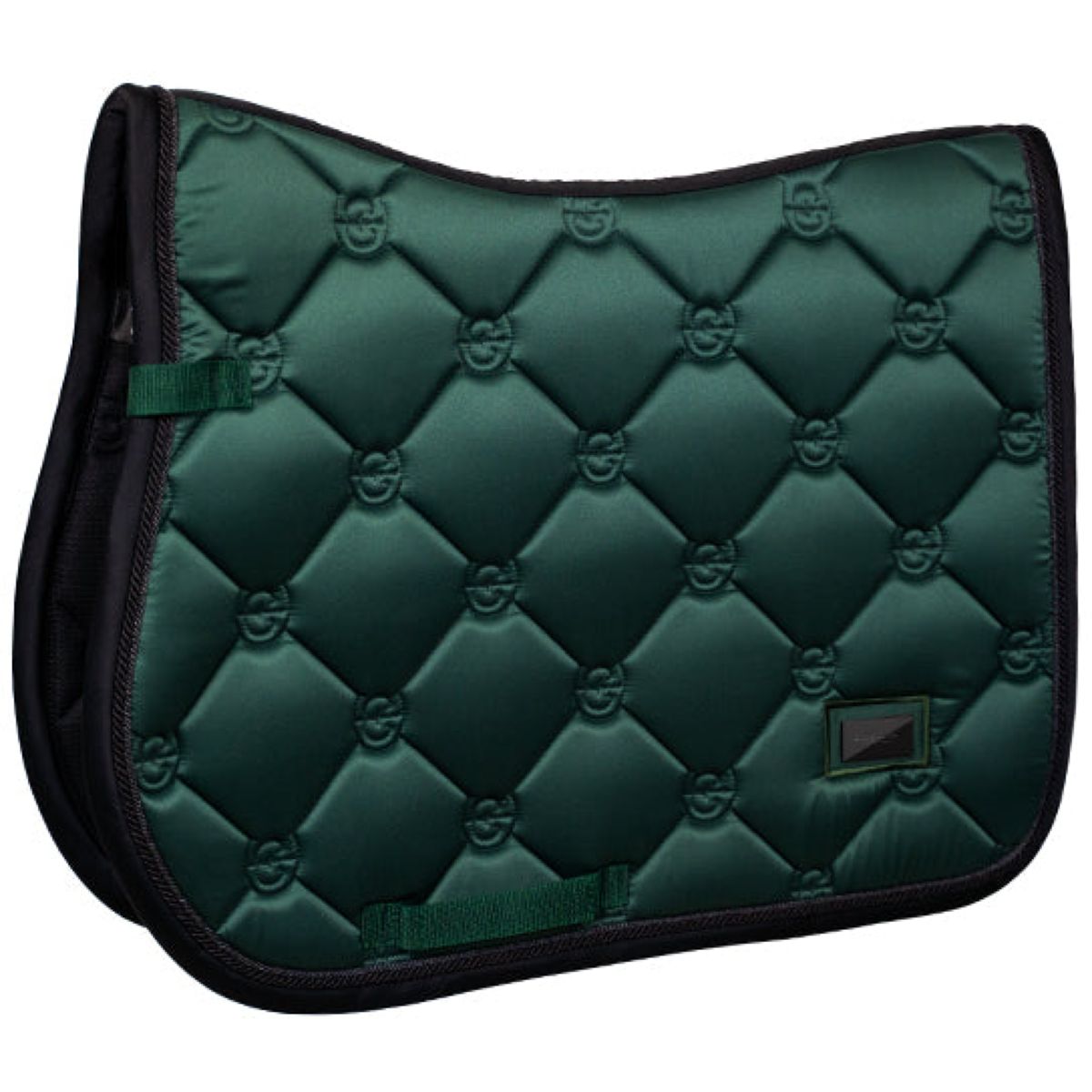 Equestrian Stockholm Sottosella saltando Sycamore Green