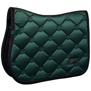 Equestrian Stockholm Sottosella saltando Sycamore Green