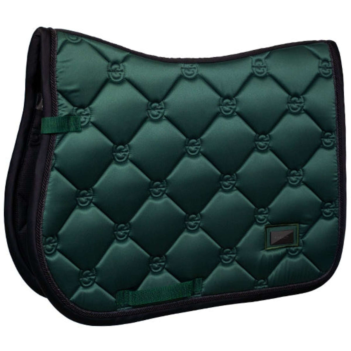 Equestrian Stockholm Sottosella saltando Sycamore Green