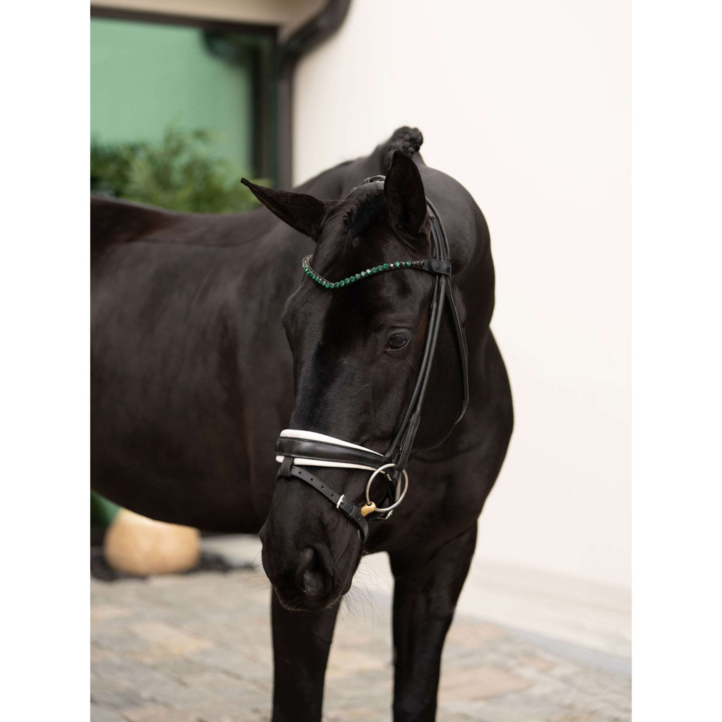 Equestrian Stockholm Frontalino Faded 8mm Sycamore Green