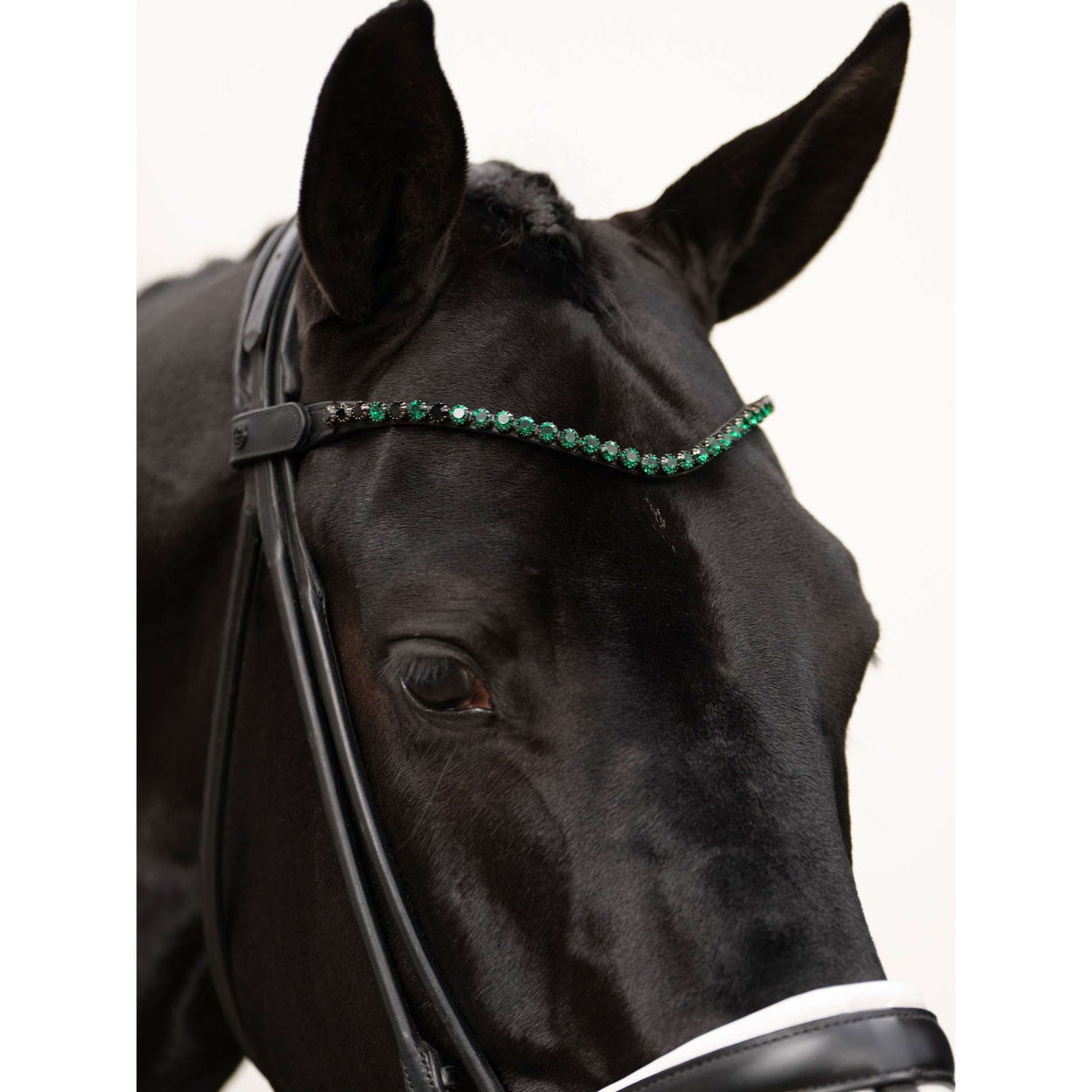 Equestrian Stockholm Frontalino Faded 8mm Sycamore Green