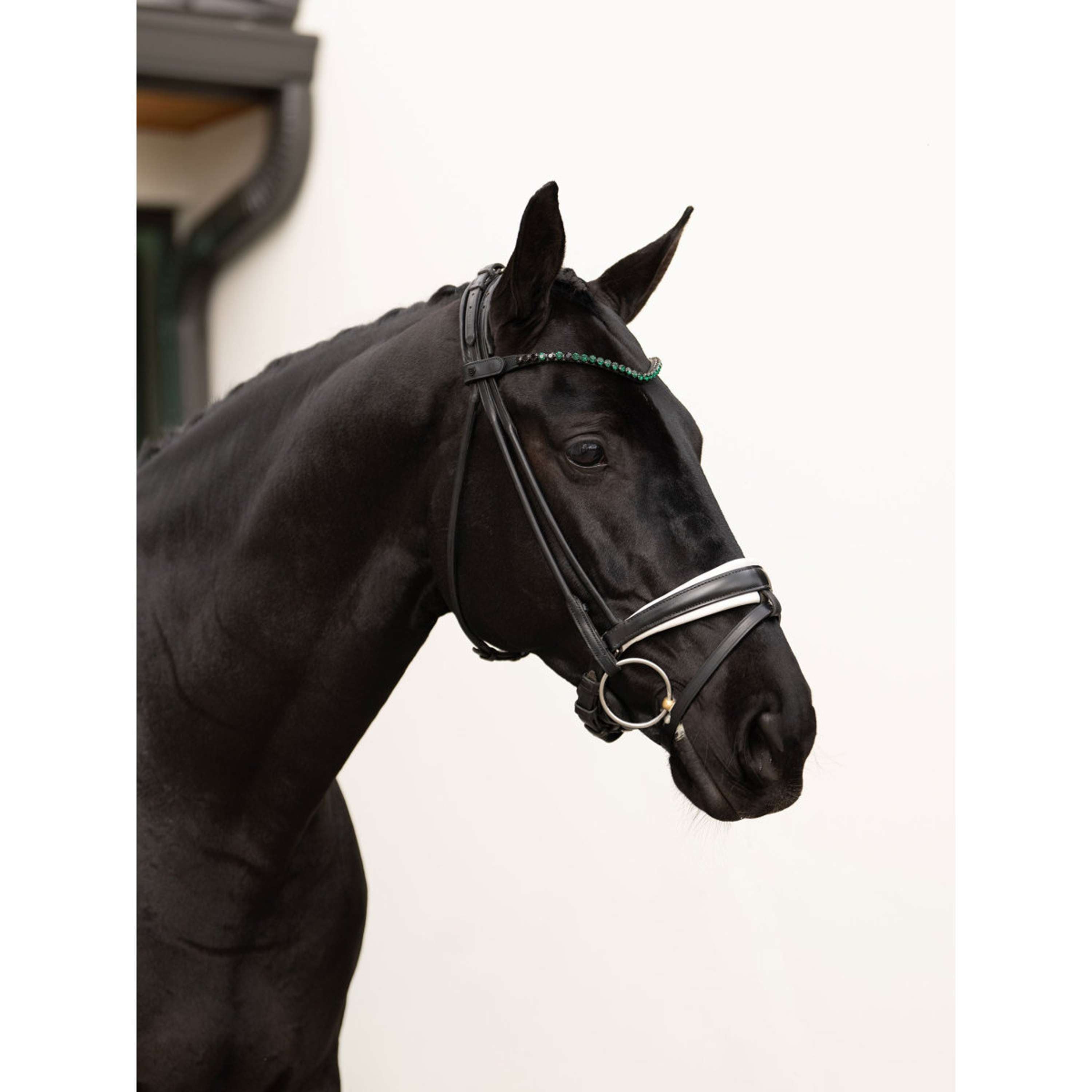 Equestrian Stockholm Frontalino Faded 8mm Sycamore Green