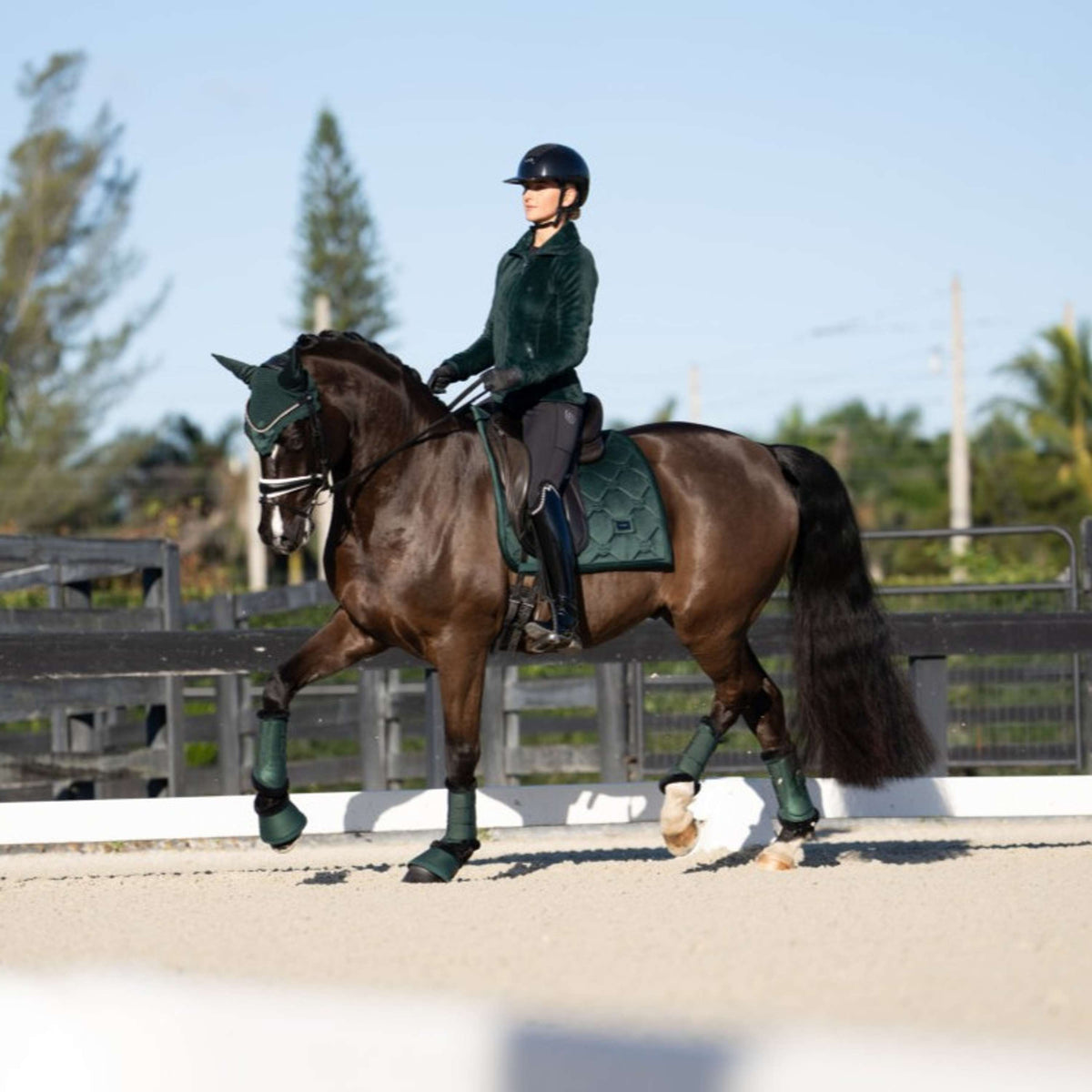 Equestrian Stockholm Stivaletti a Campana Sycamore Green