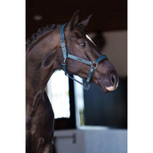 Equestrian Stockholm Capezzina Glimmer Leather Anatomic Teal Blue