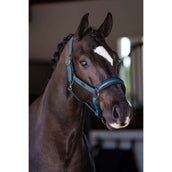 Equestrian Stockholm Capezzina Glimmer Leather Anatomic Teal Blue