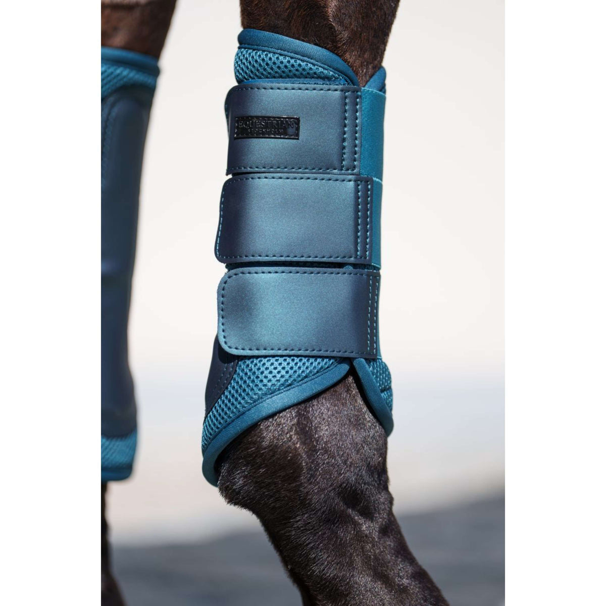 Equestrian Stockholm Parastinchi Classic Mesh Teal Blue