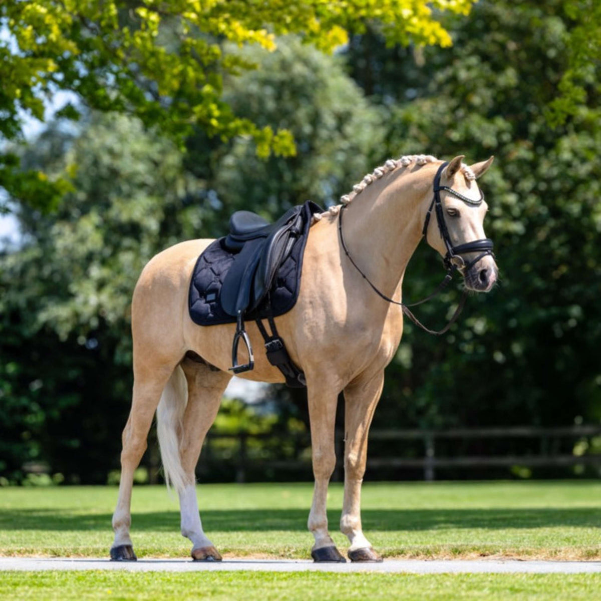 Equestrian Stockholm Sottosella Velvet Dressage Nero