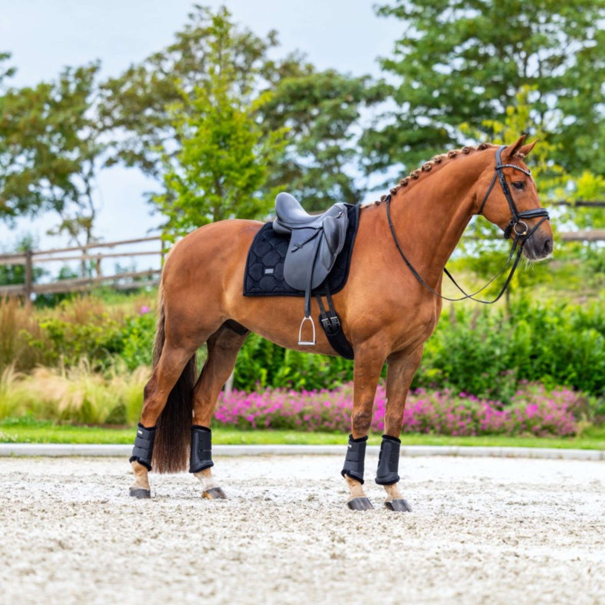 Equestrian Stockholm Sottosella Velvet Dressage Nero