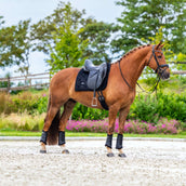 Equestrian Stockholm Sottosella Velvet Dressage Nero