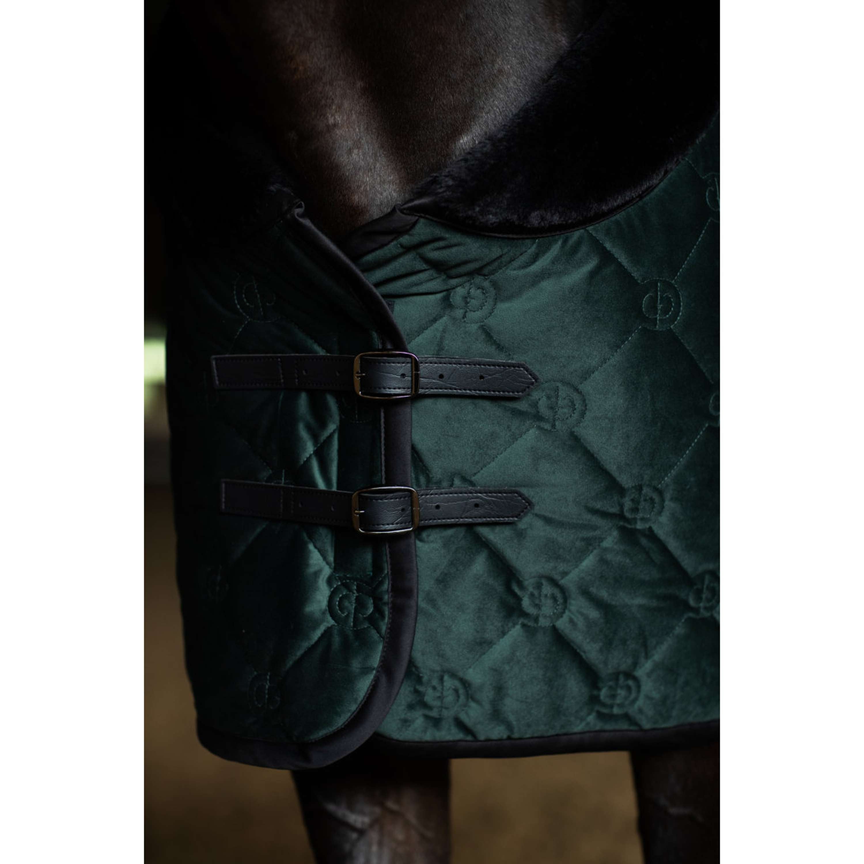Equestrian Stockholm Coperta in Pile Velvet Sycamore Green