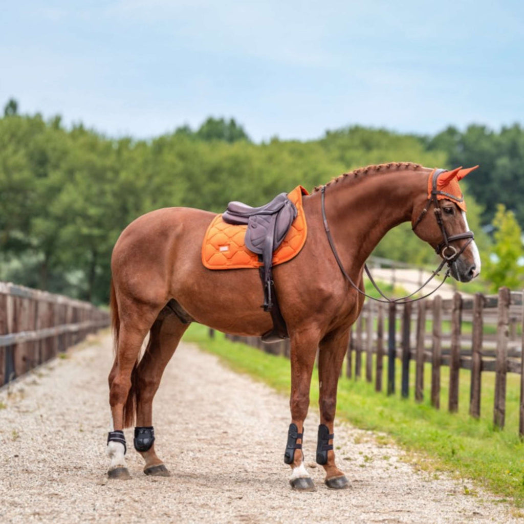 Equestrian Stockholm Sottosella Velvet Saltando Chestnut