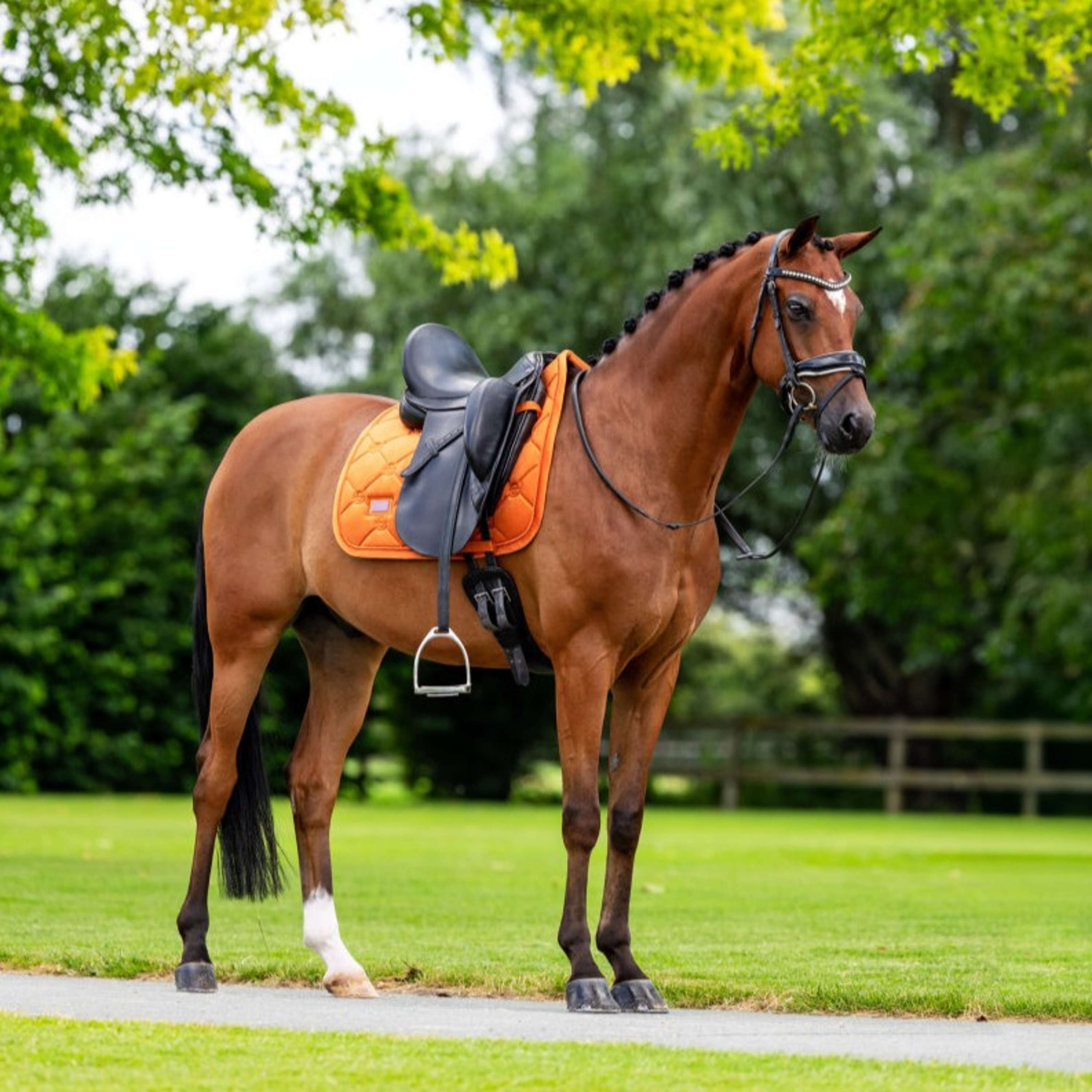 Equestrian Stockholm Sottosella Velvet Dressage Chestnut