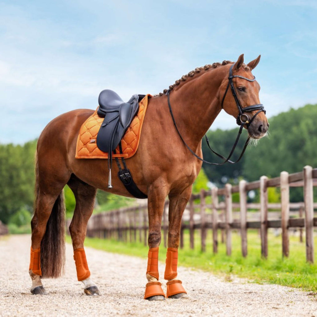 Equestrian Stockholm Stivaletti a Campana Chestnut