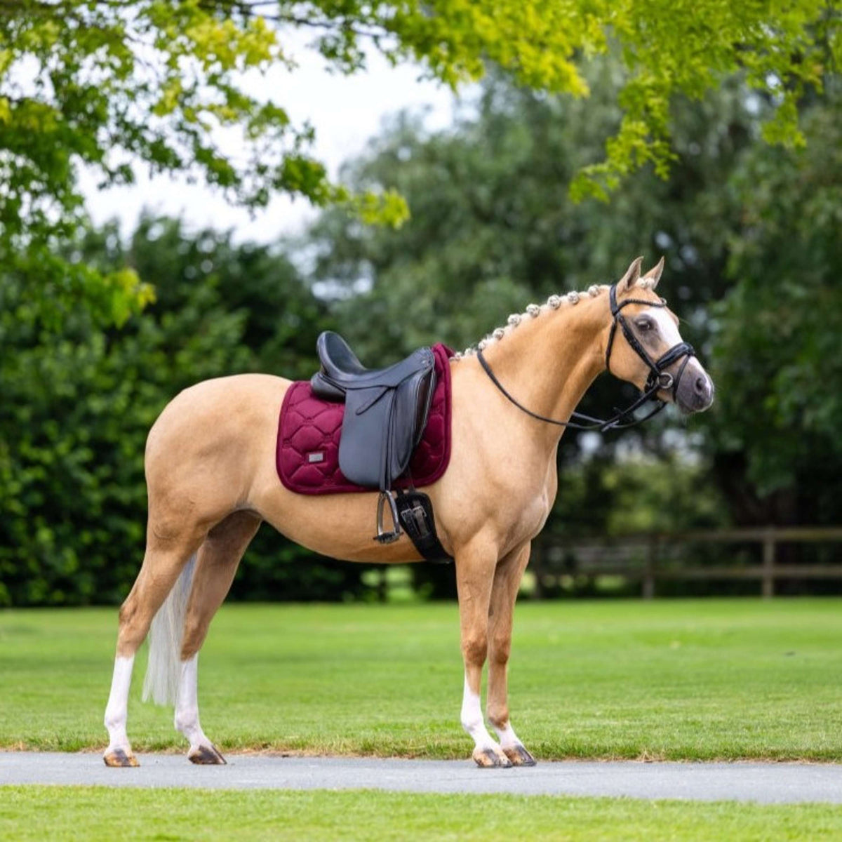 Equestrian Stockholm Sottosella Velvet Dressage Merlot