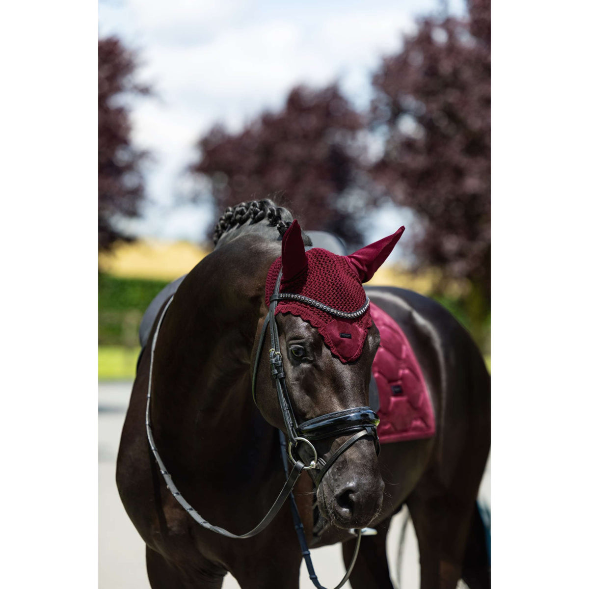 Equestrian Stockholm Cuffietta Velvet Merlot