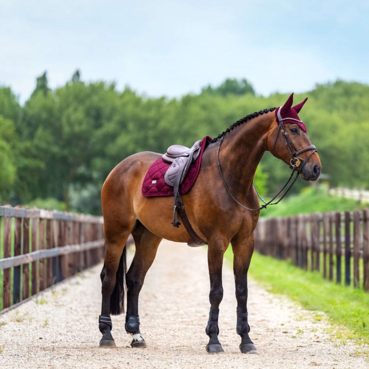 Equestrian Stockholm Sottosella Velvet Saltando Merlot