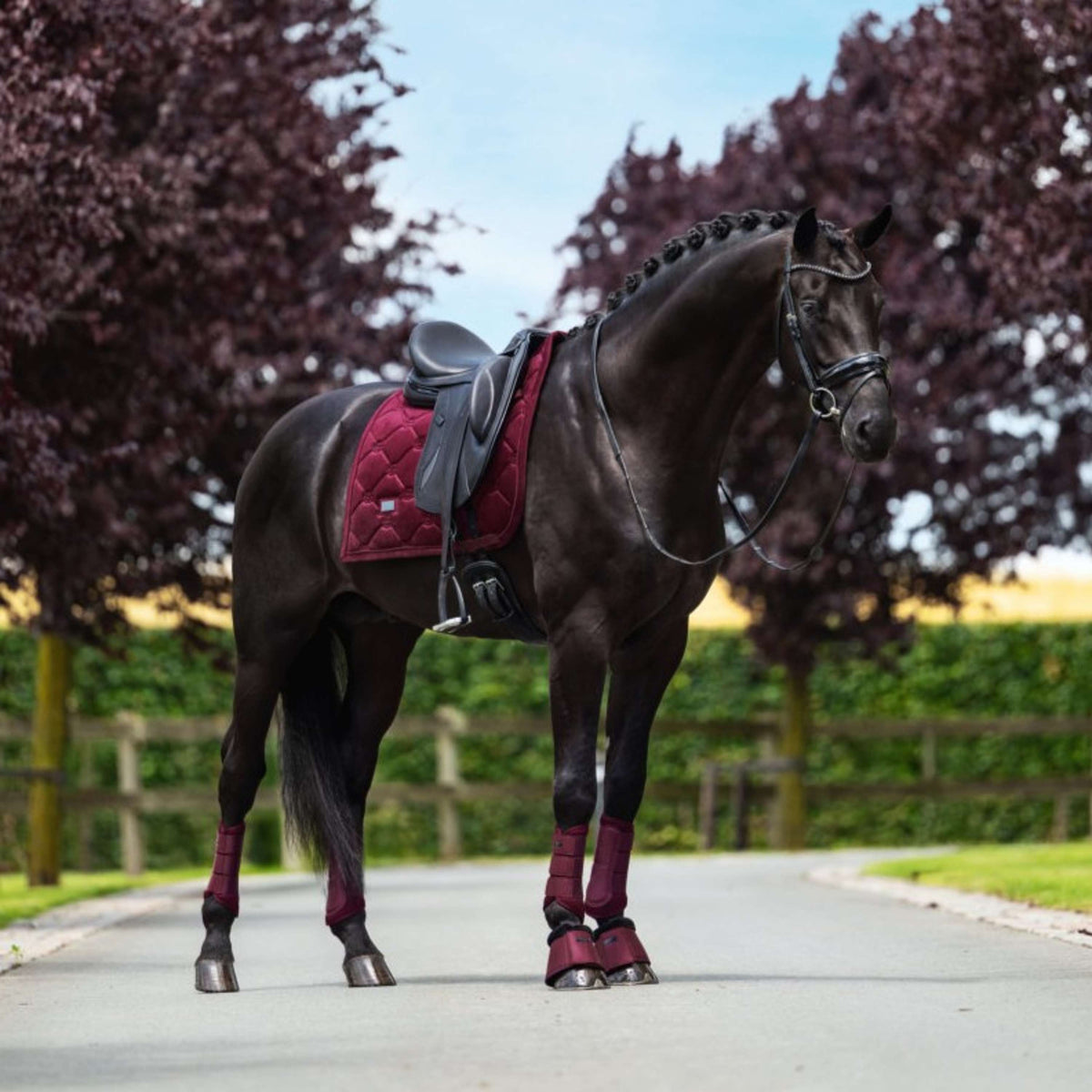 Equestrian Stockholm Parastinchi Mesh Merlot