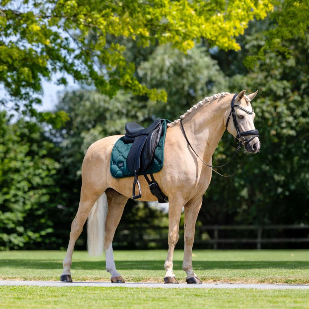 Equestrian Stockholm Sottosella Velvet Dressage Sycamore Green