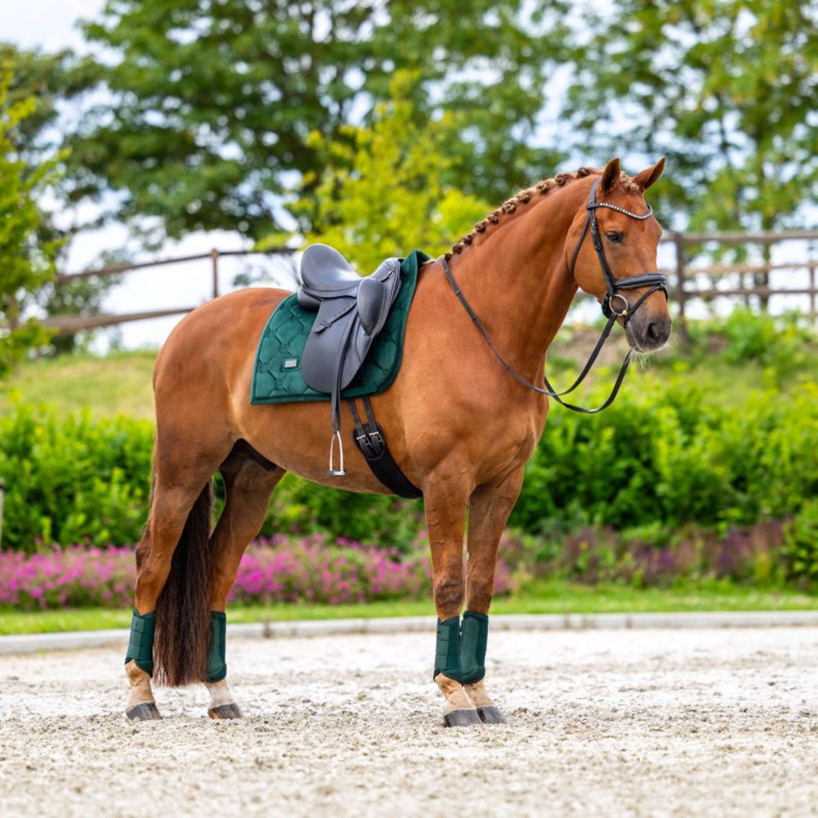 Equestrian Stockholm Sottosella Velvet Dressage Sycamore Green