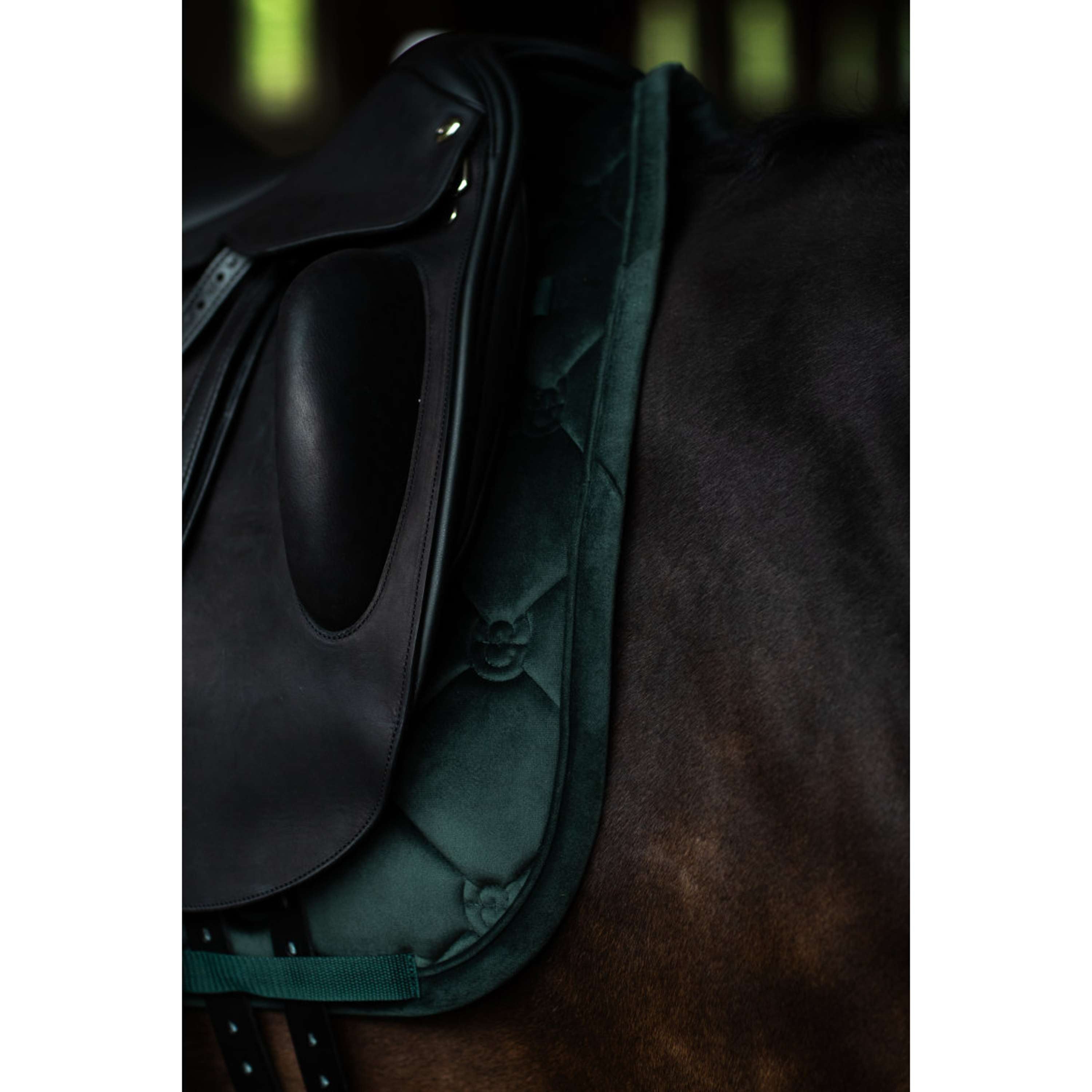 Equestrian Stockholm Sottosella Velvet Dressage Sycamore Green