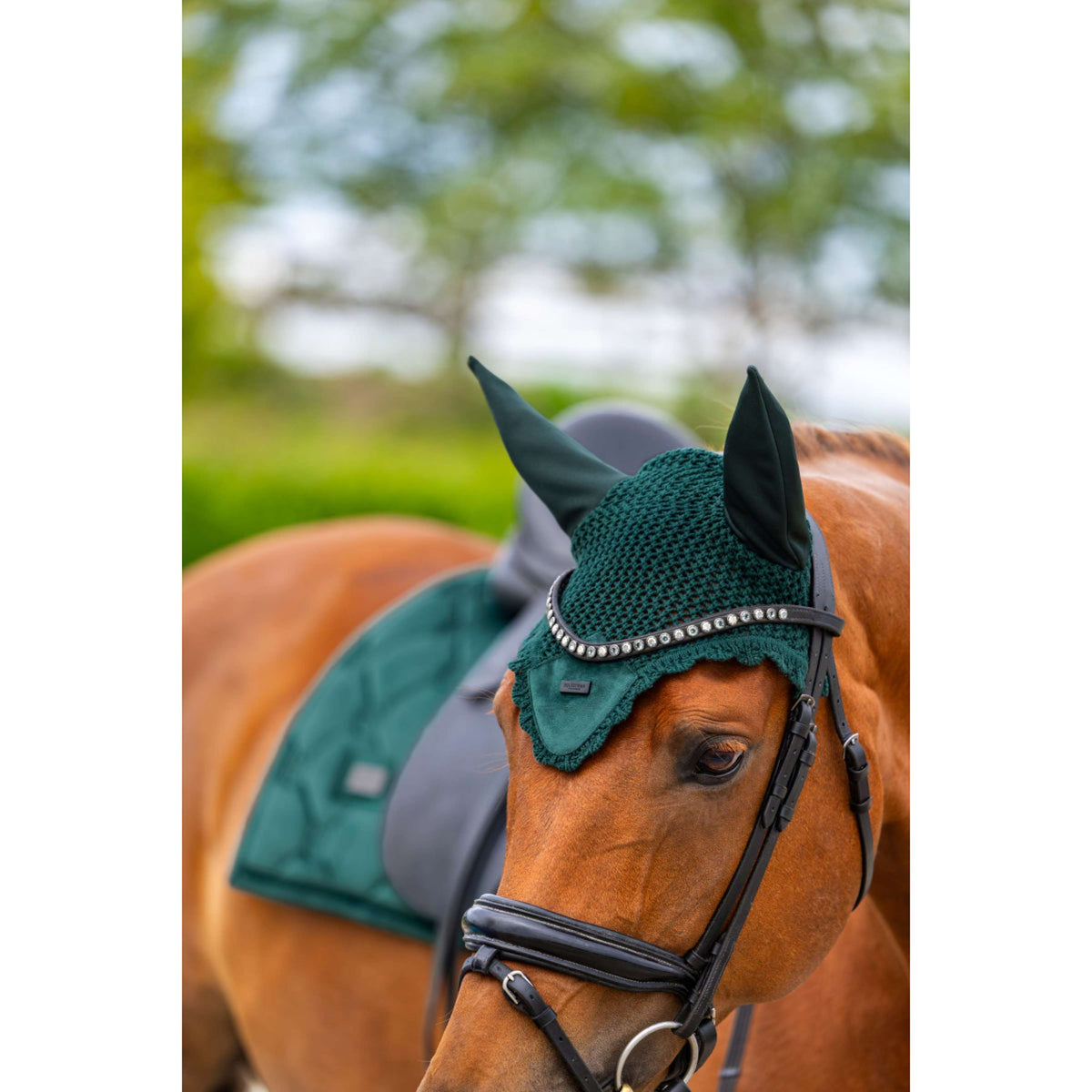 Equestrian Stockholm Cuffietta Velvet Sycamore Green