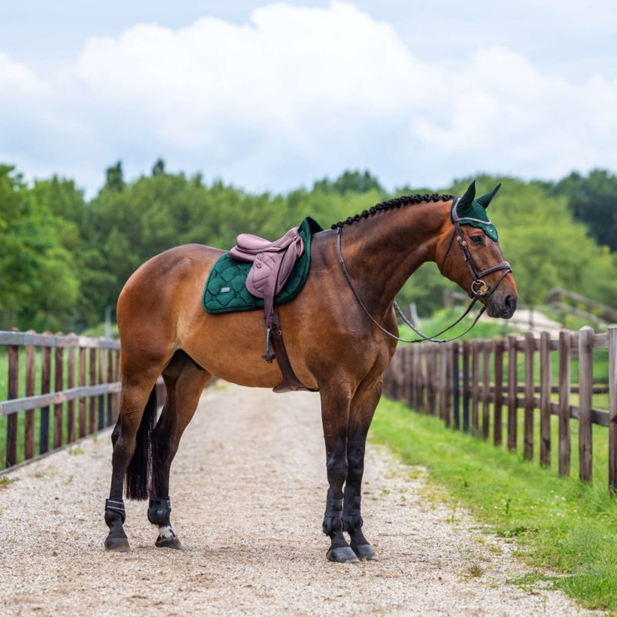 Equestrian Stockholm Cuffietta Velvet Sycamore Green