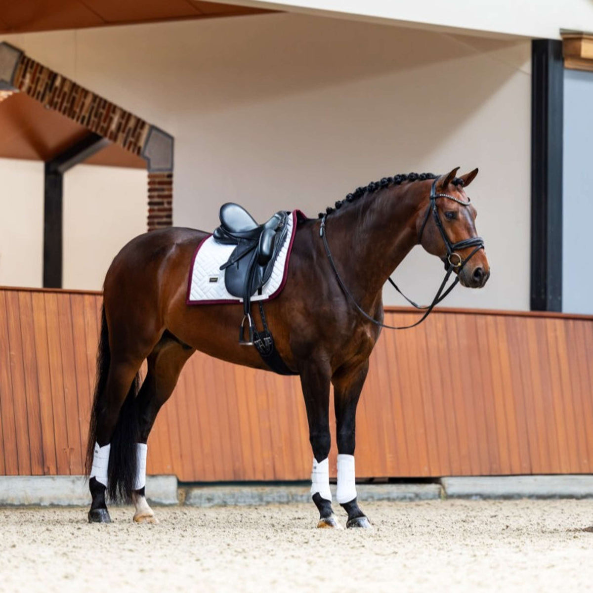 Equestrian Stockholm Sottosella Modern Dressage Bianco/Merlot