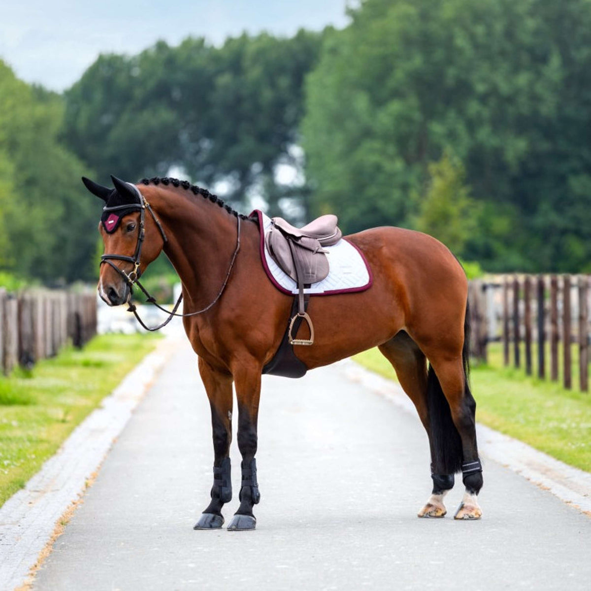 Equestrian Stockholm Sottosella Modern Saltando Bianco/Merlot