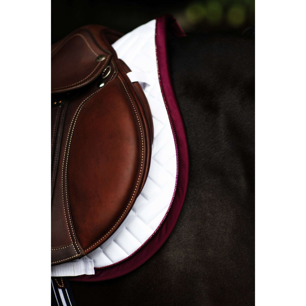 Equestrian Stockholm Sottosella Modern Saltando Bianco/Merlot