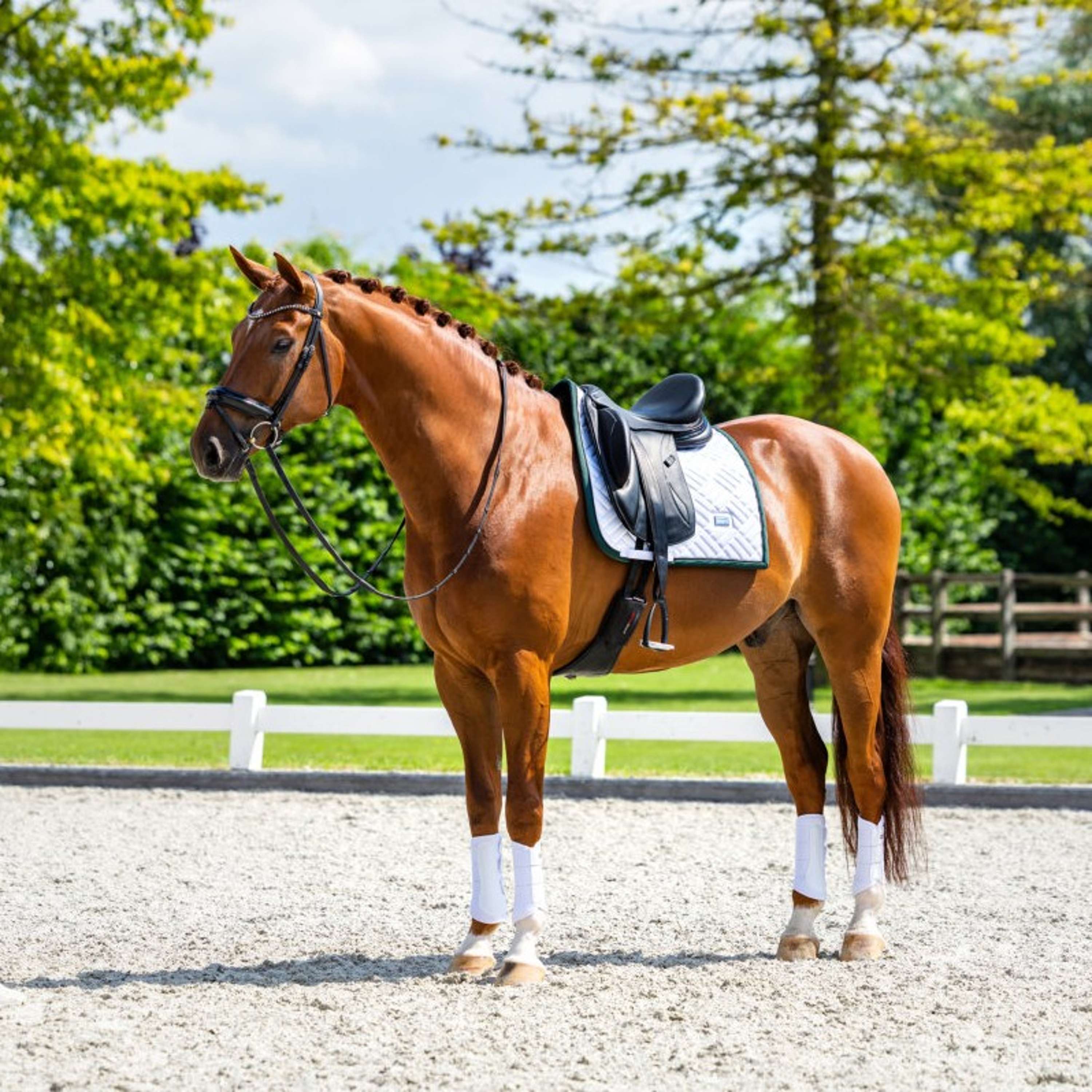 Equestrian Stockholm Sottosella Modern Dressage Bianco/Sycamore Green