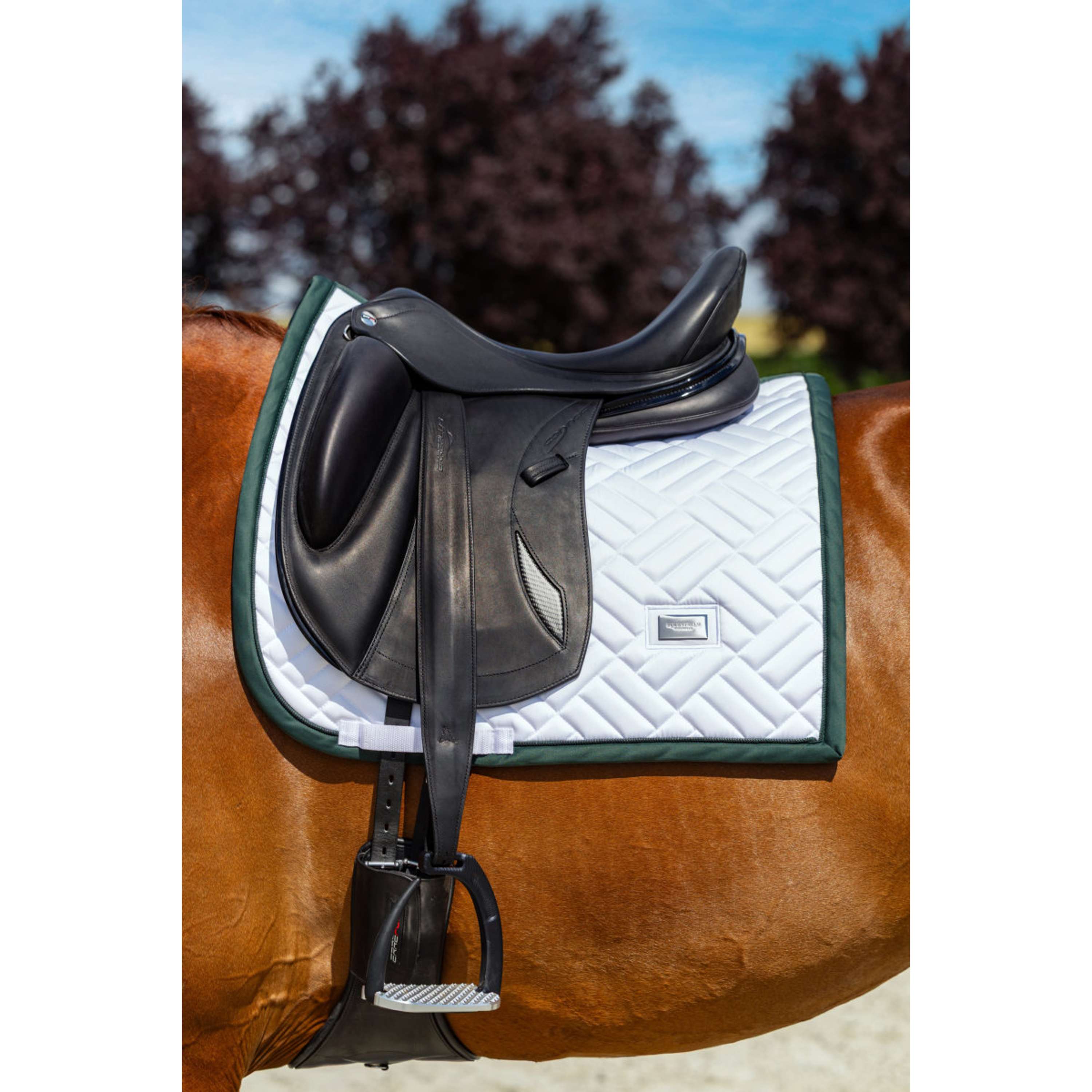 Equestrian Stockholm Sottosella Modern Dressage Bianco/Sycamore Green