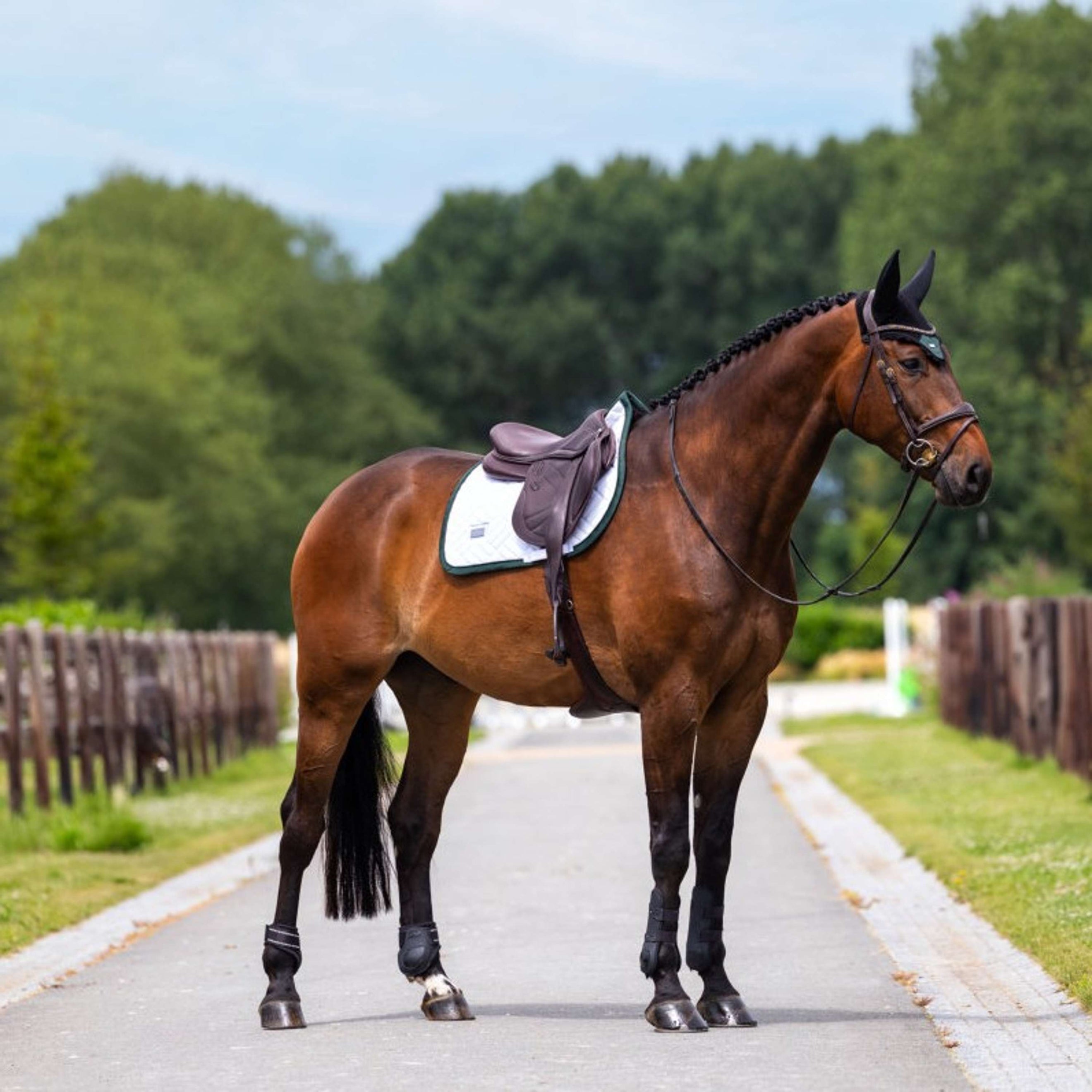 Equestrian Stockholm Sottosella Modern Saltando Bianco/Sycamore Green Equestrian Stockholm Sottosella Modern Saltando Bianco/Sycamore Green