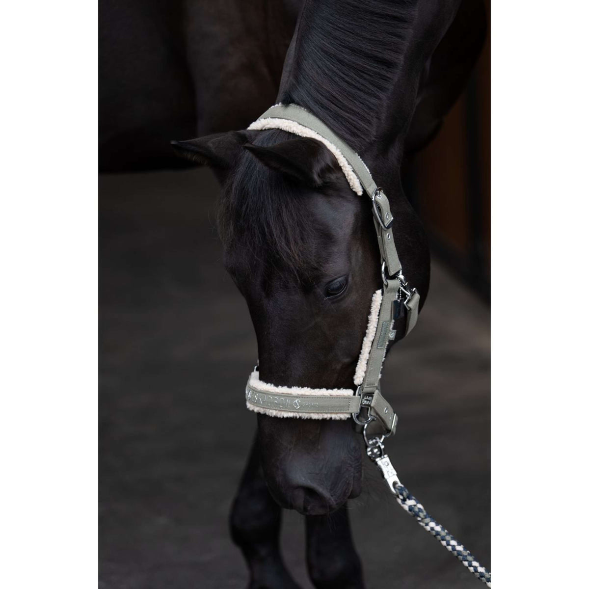 Eskadron Capezzina Classic Sports Denim Double Pin Teddyfleece Dusty Olive