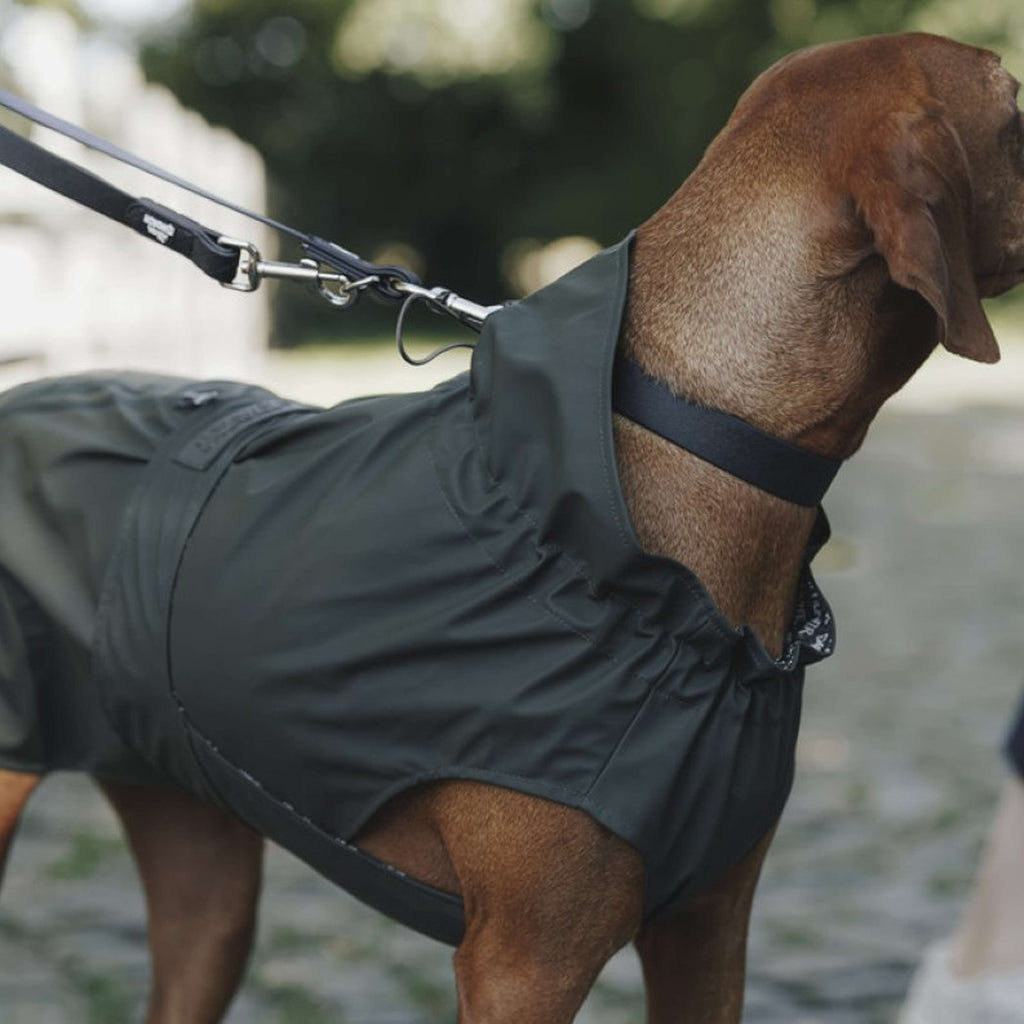 Hunter x Eskadron Impermeabile Per Cane Rainshield Olive