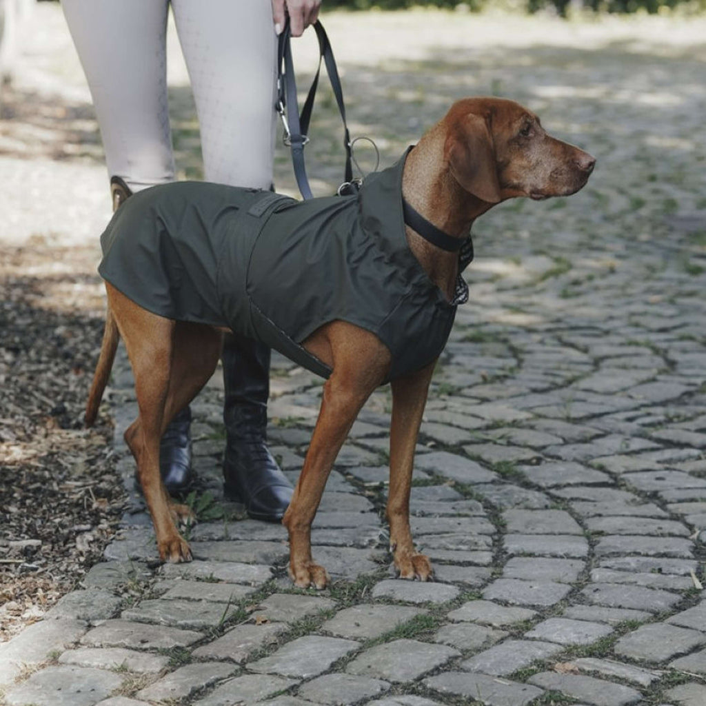 Hunter x Eskadron Impermeabile Per Cane Rainshield Olive