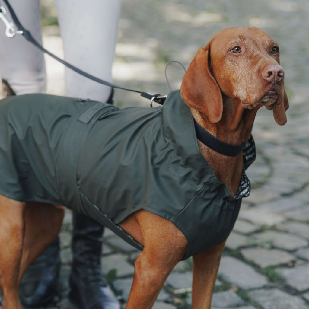 Hunter x Eskadron Impermeabile Per Cane Rainshield Olive