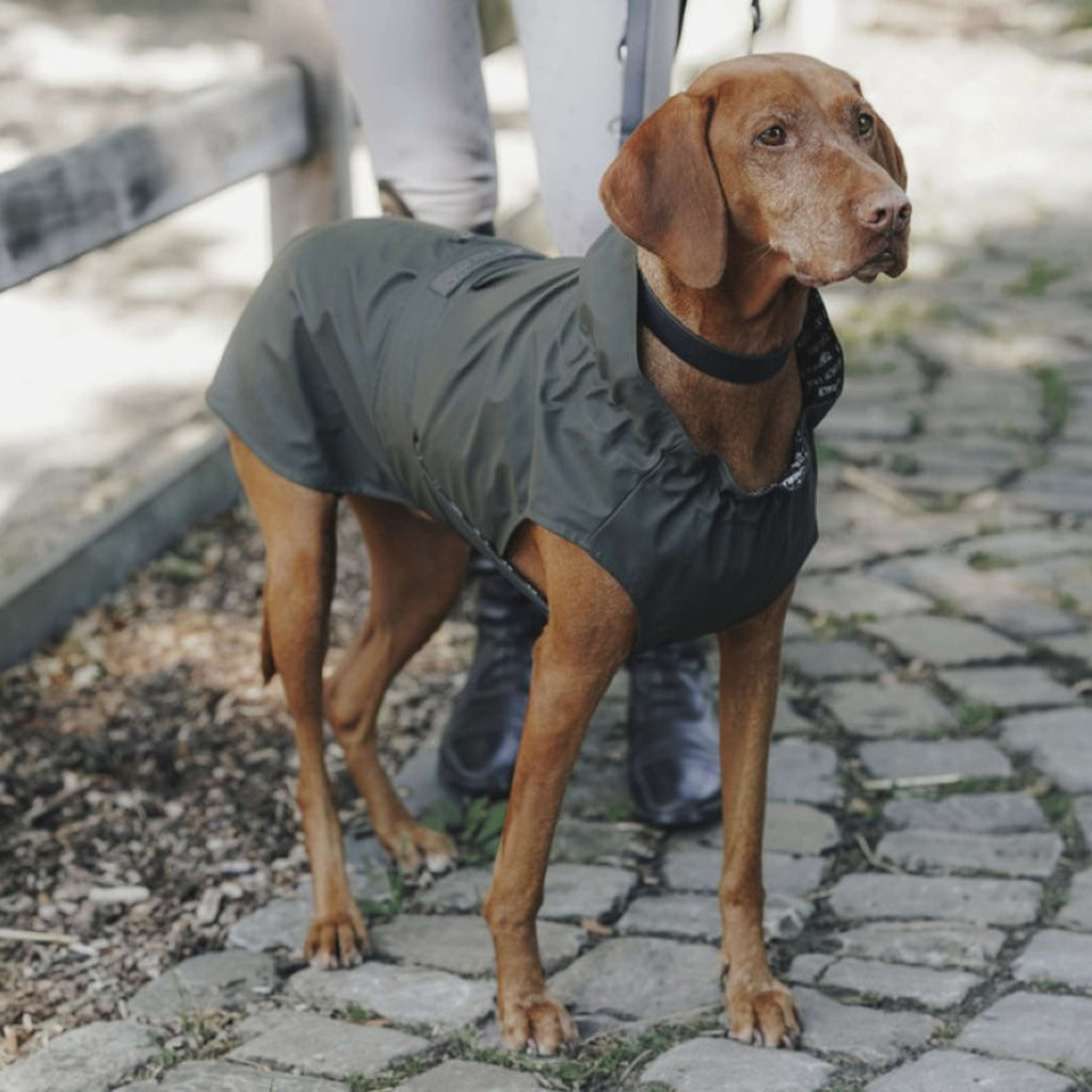 Hunter x Eskadron Impermeabile Per Cane Rainshield Olive