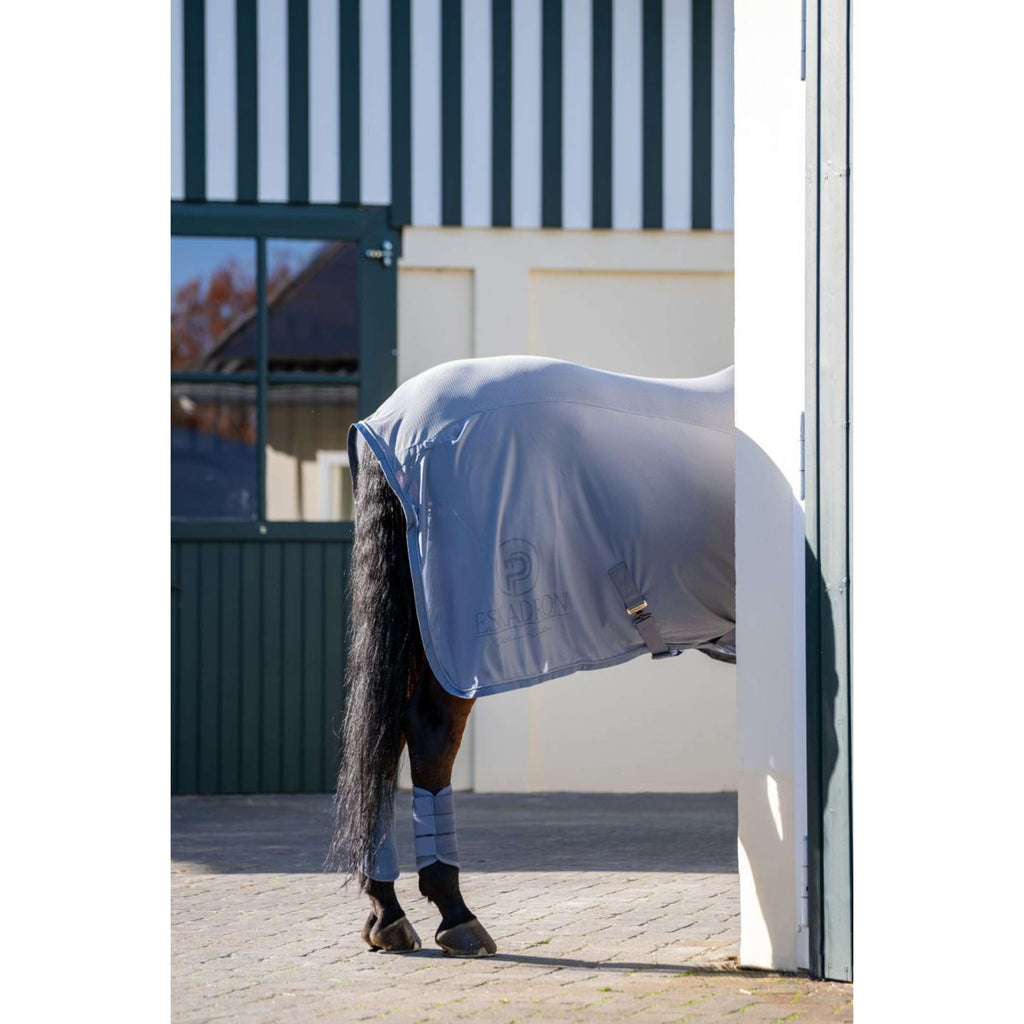 Eskadron Stivali da dressage Platinum '26 Mesh Pale Grey