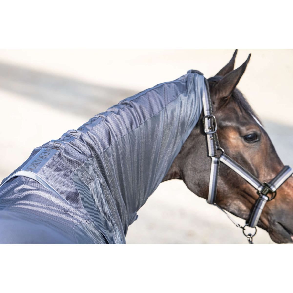 Eskadron Coperta Antimosche Platinum '26 Waterproof con Cappuccio Rimovibile Slate Blue