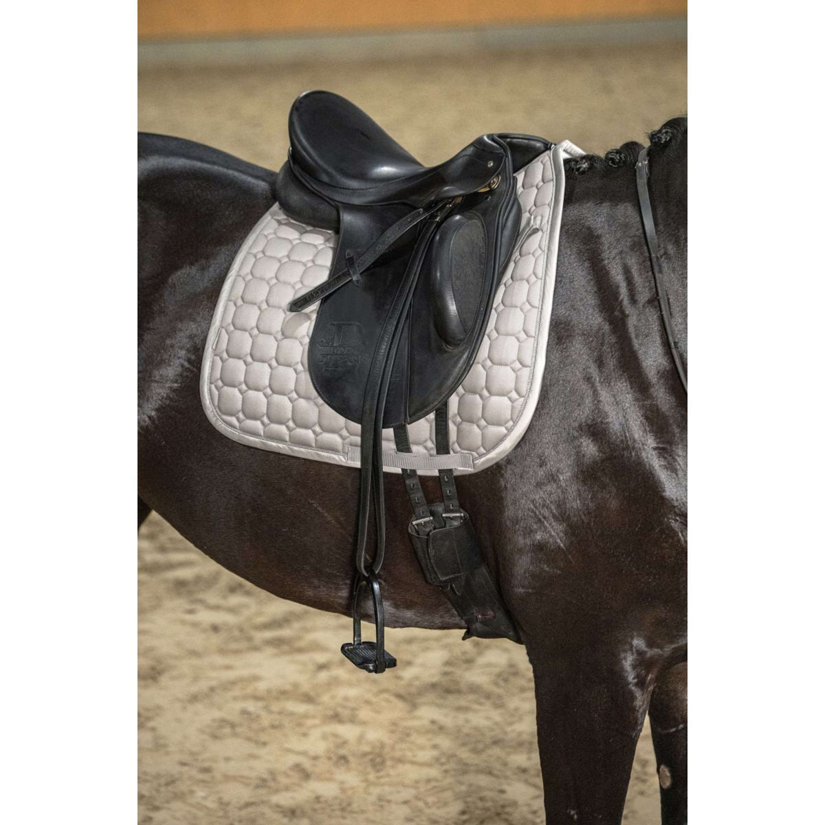 Eskadron Sottosella Platinum '26 Cotton Dressage Pale Grey