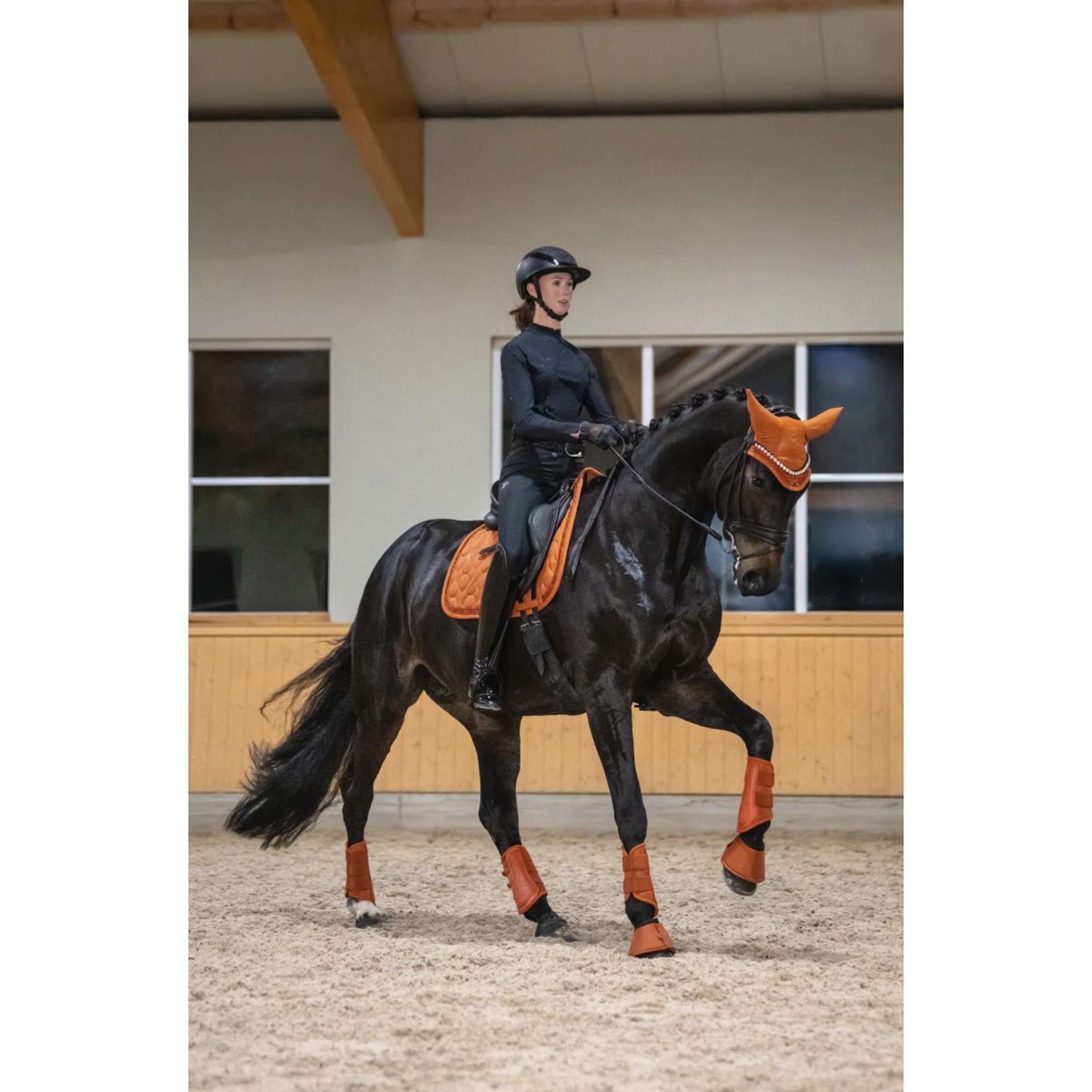 Eskadron Sottosella Platinum '26 Sparkle Jewel Dressage Amber