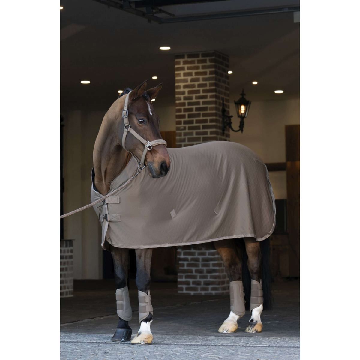 Eskadron Parastinchi Faux Leather Platinum '25 Smoky Taupe