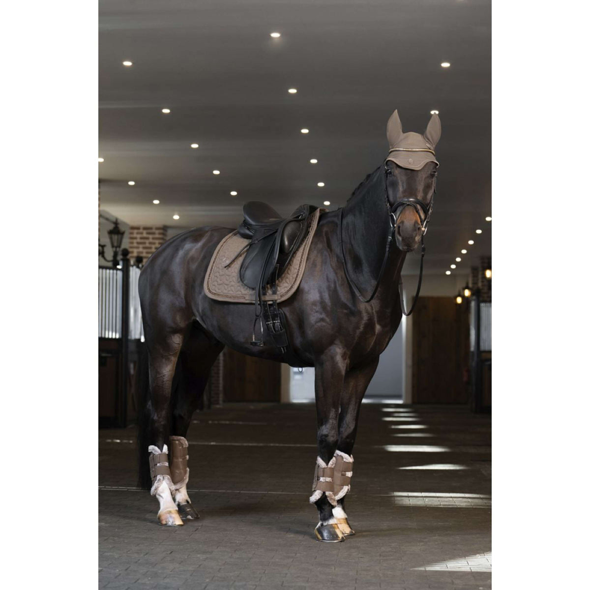 Eskadron Sottosella Sparkle Jewel Platinum '25 Dressage Smoky Taupe