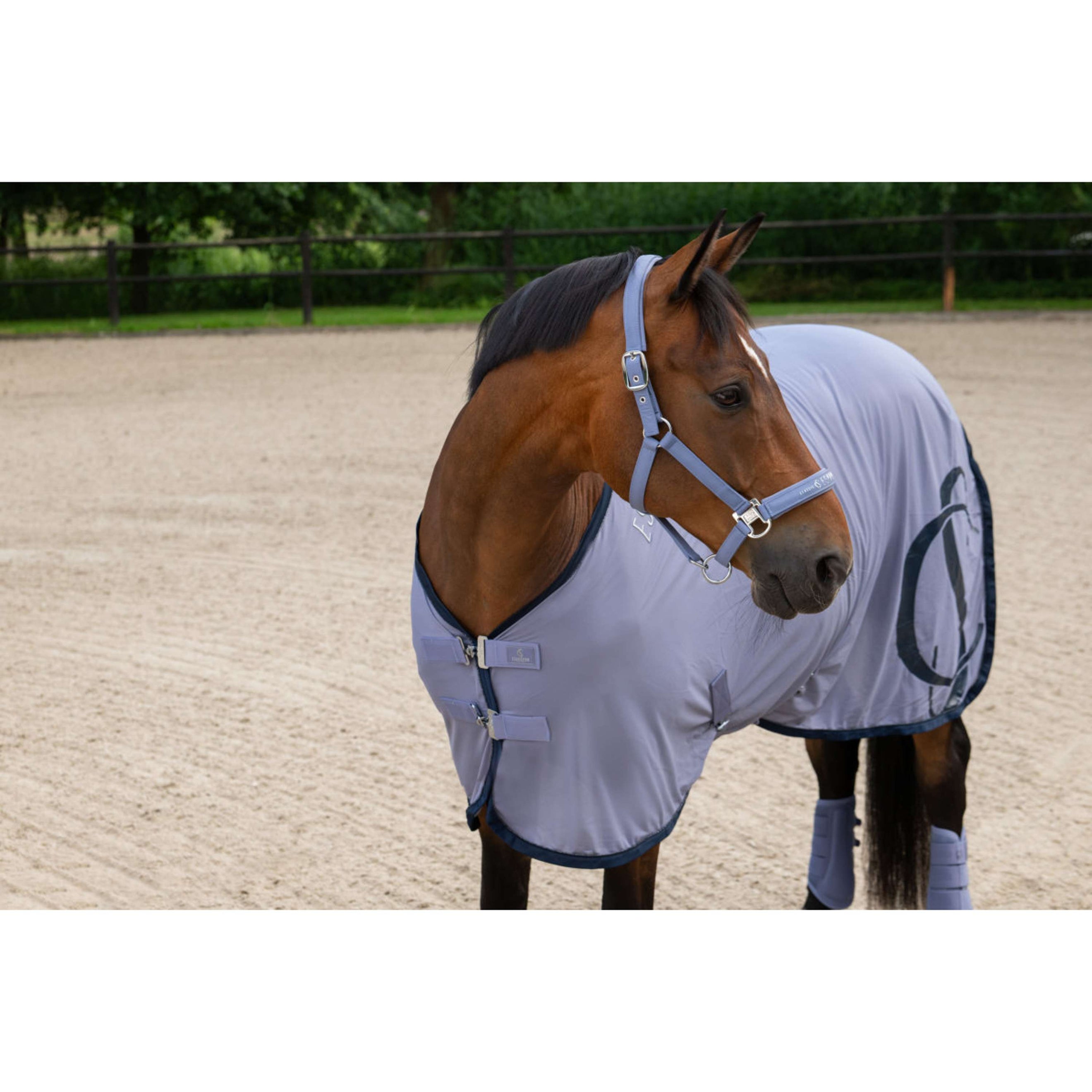 Eskadron Cavezza Classic Sports Sparkle Orchid
