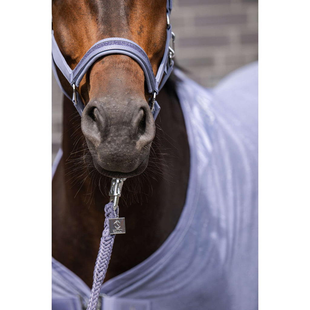 Eskadron Cavezza Classic Sports Softshell Jewel Orchid