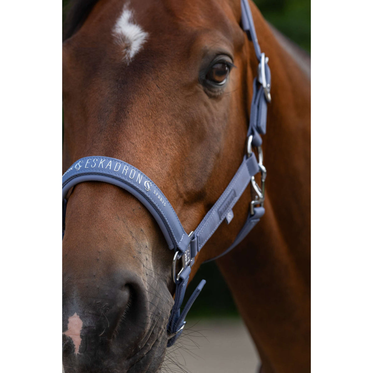 Eskadron Capezzina Classic Sports Sparkle Orchid