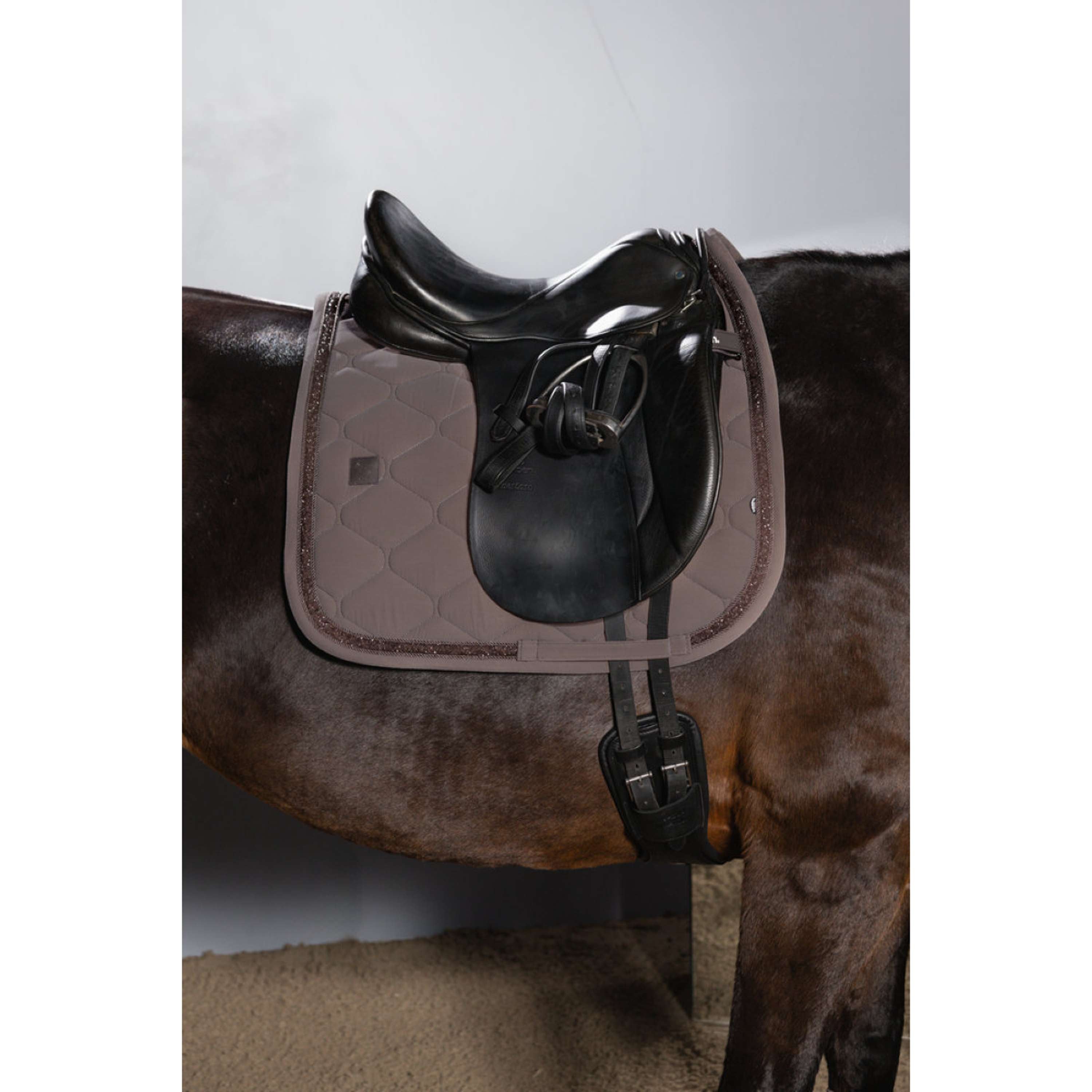 Eskadron Sottosella Dynamics Silk Jewel Dressage Powdertaupe